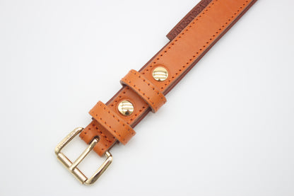 FinestPaw_Halsband_Klassik_Premium_orange_m_gold_schnalle