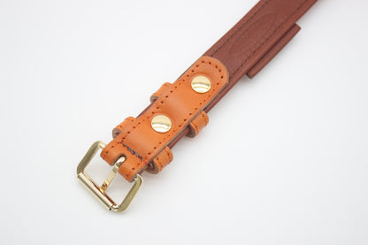 FinestPaw_Halsband_Klassik_Premium_orange_m_gold_back