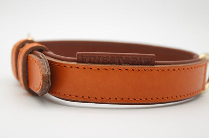 FinestPaw_Halsband_Klassik_Premium_Orange_M_all_logo