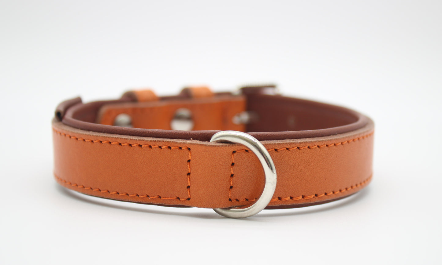 FinestPaw_Halsband_Klassik_Premium_orange_m_silber_dring