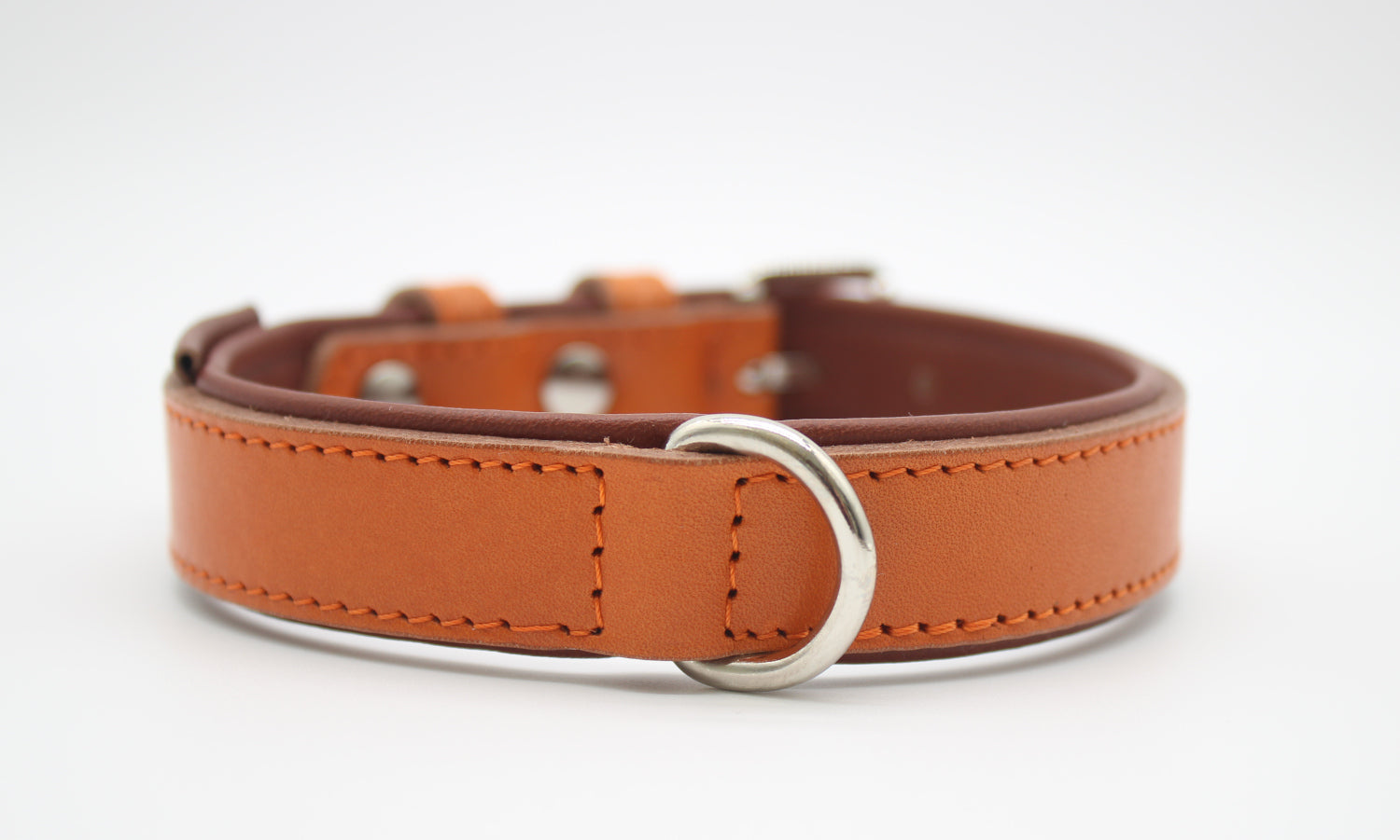 FinestPaw_Halsband_Klassik_Premium_orange_m_silber_dring