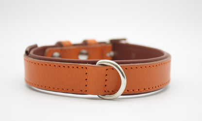 FinestPaw_Halsband_Klassik_Premium_orange_m_silber_dring