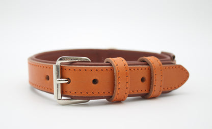 FinestPaw_Halsband_Klassik_Premium_orange_m_silber_front