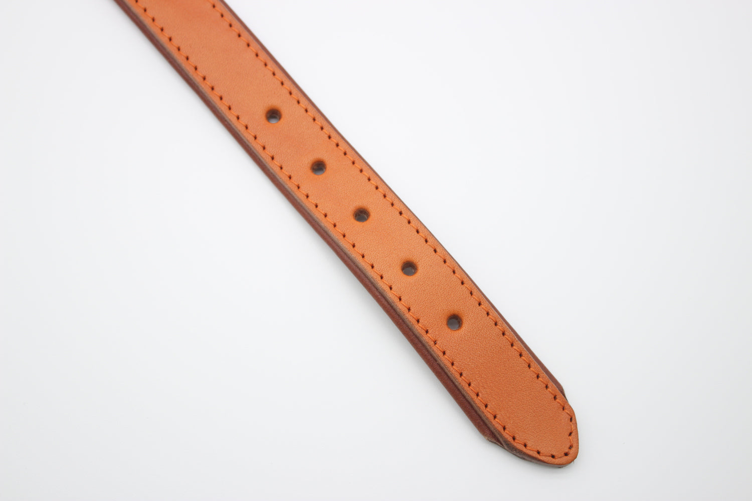 FinestPaw_Halsband_Klassik_Premium_orange_m_all_loecher