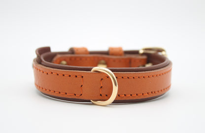 FinestPaw_Halsband_Klassik_Premium_orange_xs_gold_dring
