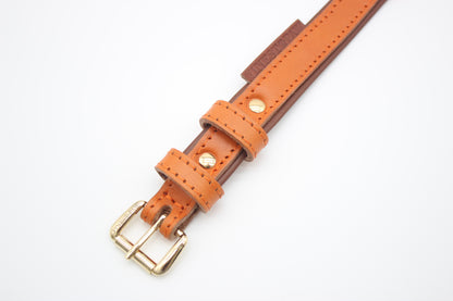 FinestPaw_Halsband_Klassik_Premium_orange_xs_gold_schnalle
