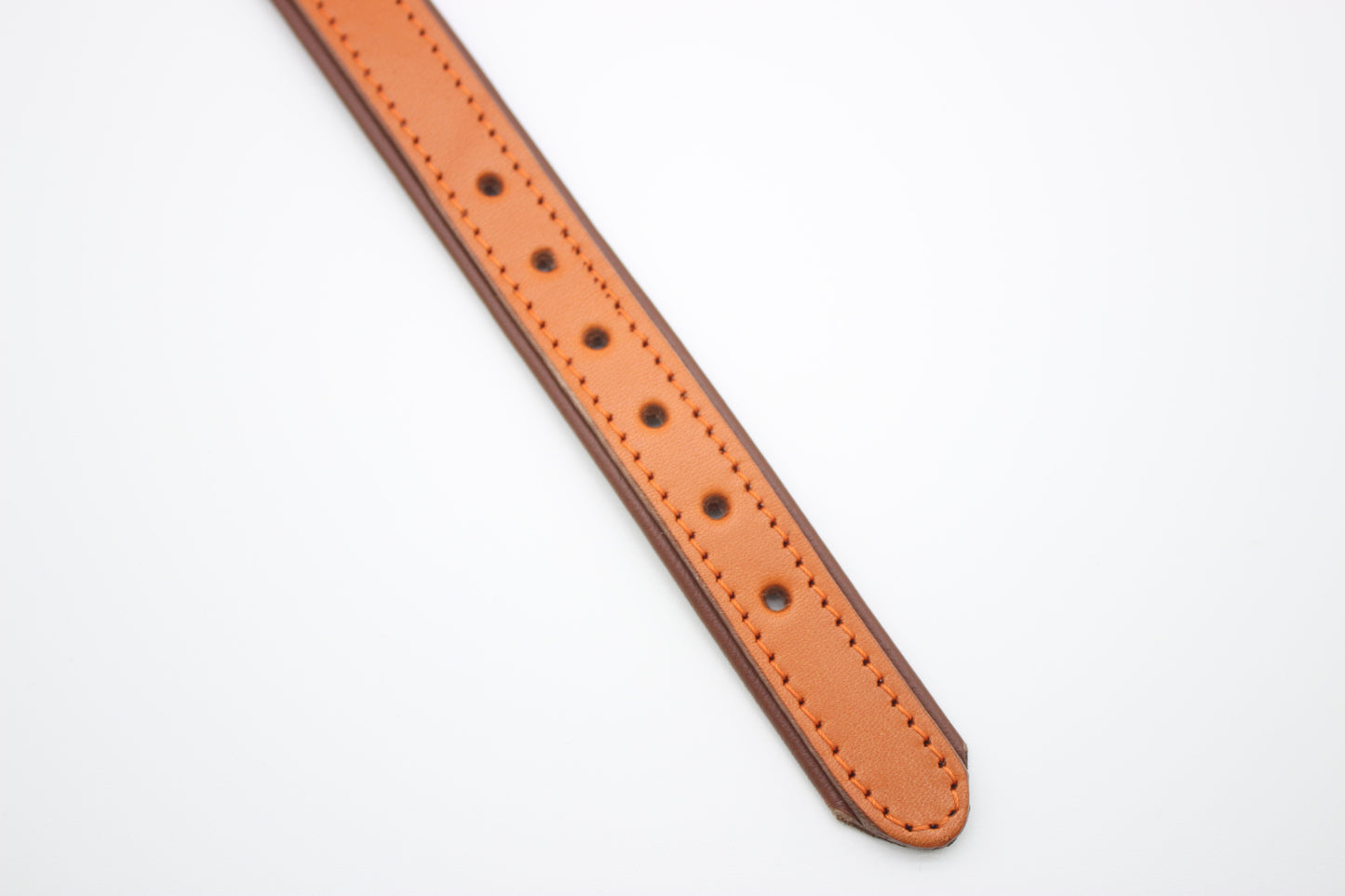 FinestPaw_Halsband_Klassik_Premium_orange_xs_all_loecher