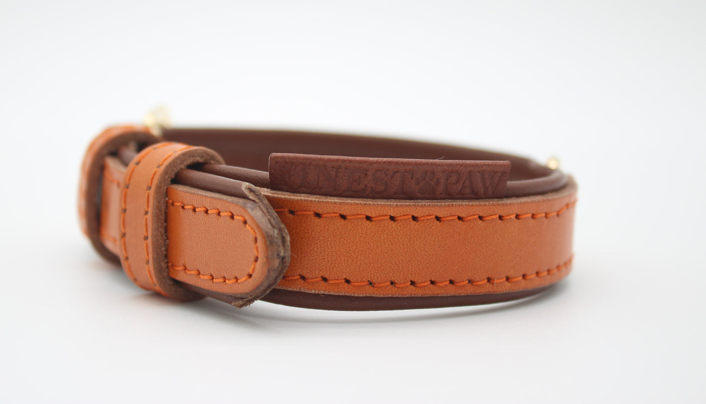 FinestPaw_Halsband_Klassik_Premium_orange_xs_all_oben