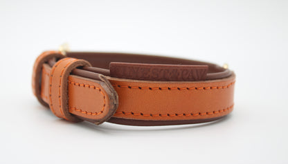 FinestPaw_Halsband_Klassik_Premium_orange_xs_all_oben