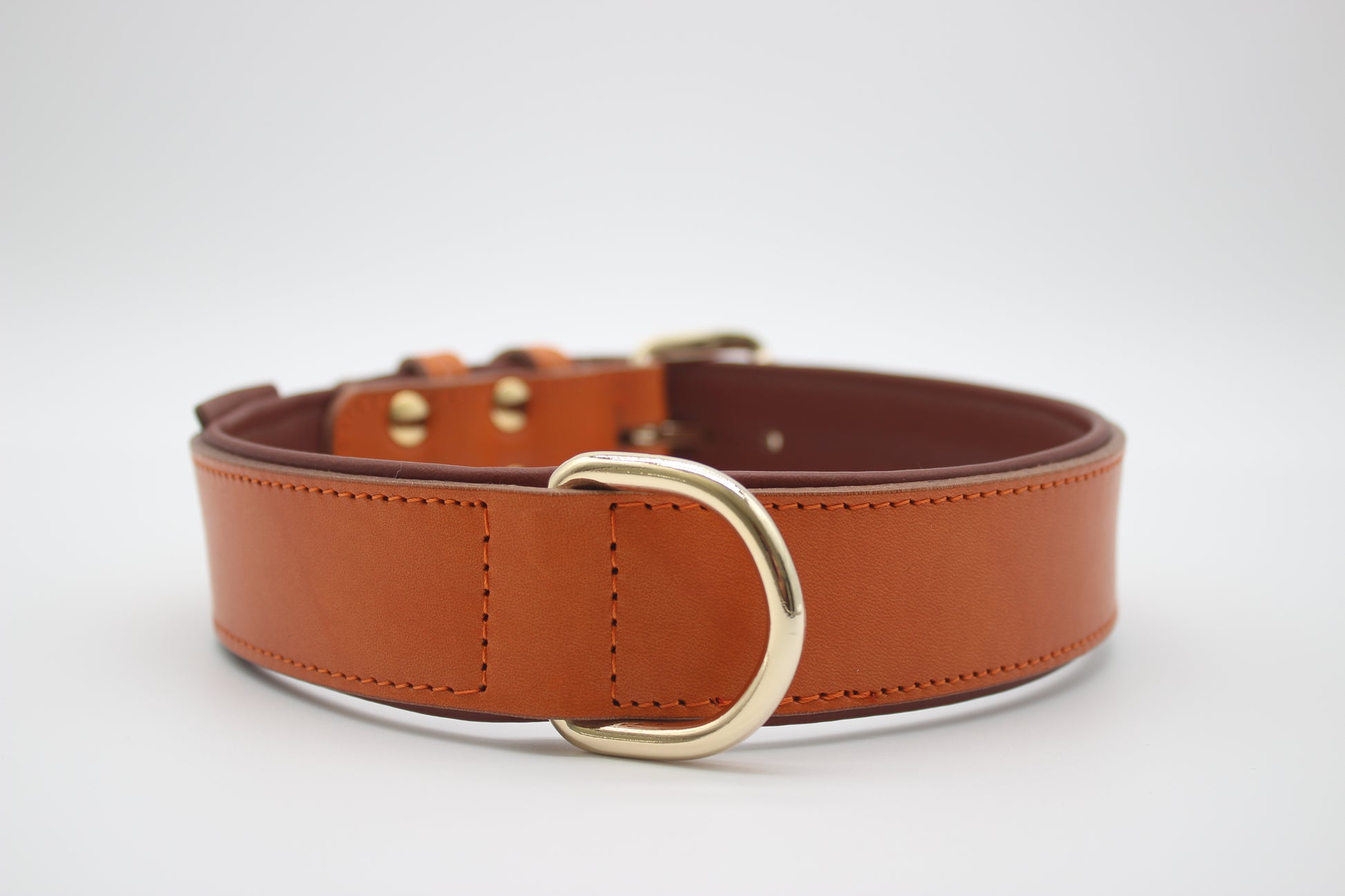 FinestPaw_Halsband_Klassik_Premium_orange_xxl_gold_dring