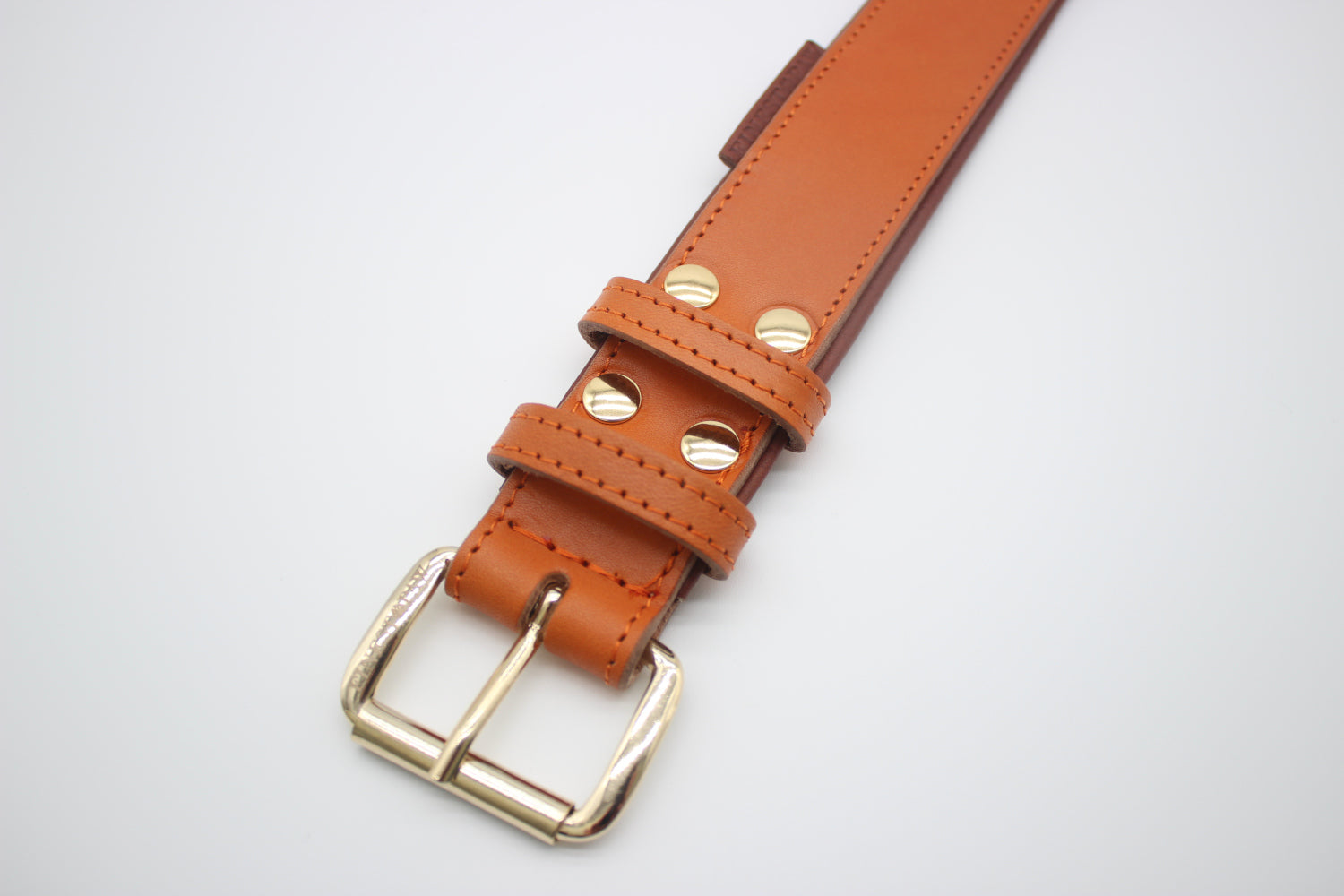 FinestPaw_Halsband_Klassik_Premium_orange_xxl_gold_schnalle
