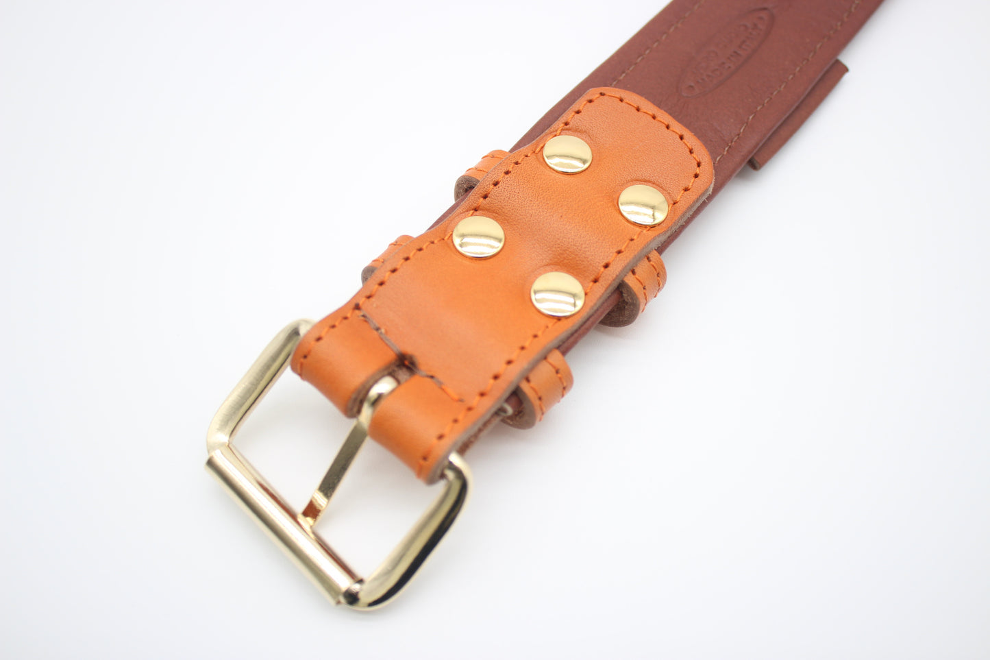 FinestPaw_Halsband_Klassik_Premium_orange_xxl_gold_back