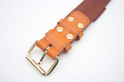 FinestPaw_Halsband_Klassik_Premium_orange_xxl_gold_back