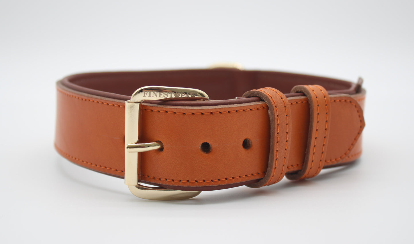 FinestPaw_Halsband_Klassik_Premium_orange_xxl_gold_front