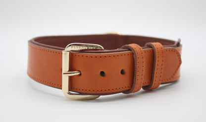 FinestPaw_Halsband_Klassik_Premium_orange_xxl_gold_front