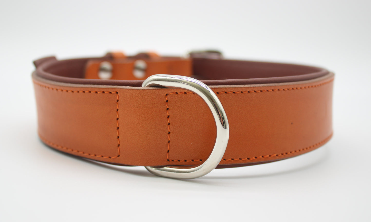 FinestPaw_Halsband_Klassik_Premium_orange_xxl_silber_dring