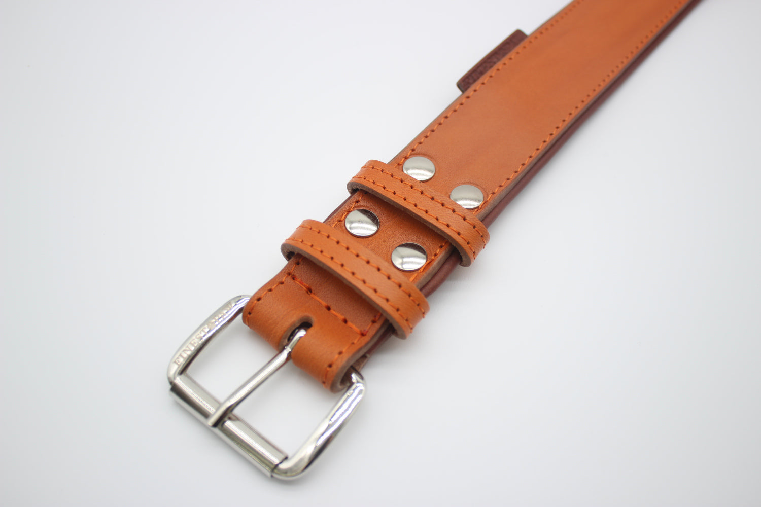 FinestPaw_Halsband_Klassik_Premium_orange_xxl_silber_schnalle