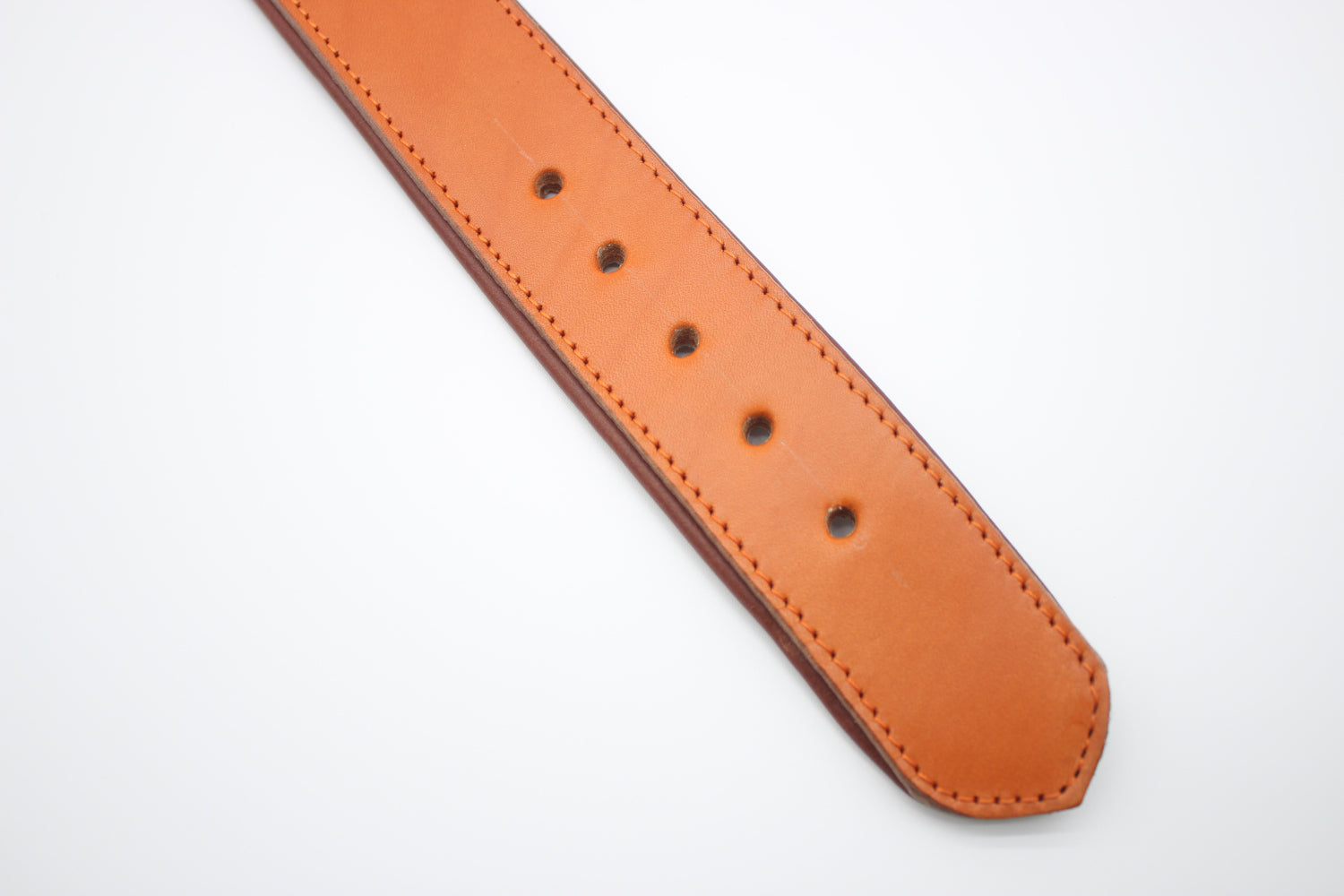 FinestPaw_Halsband_Klassik_Premium_orange_xxl_all_loecher