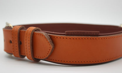 FinestPaw_Halsband_Klassik_Premium_orange_xxl_all_logo