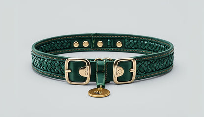 Luxery Braided Collar