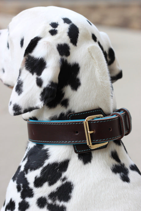 FinestPaw Hundehalsband Soft Komfort Braun Türkis Cooper