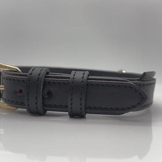 FinestPaw_Halsband_Klassik_Premium_schwarz_all_gold_video1